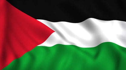 Palestine Flag